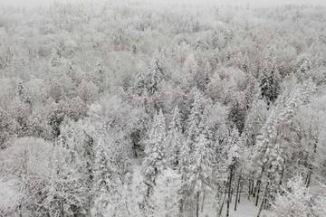 Villa pour 10 Personnes dans Morin Heights, Québec, Photo 4