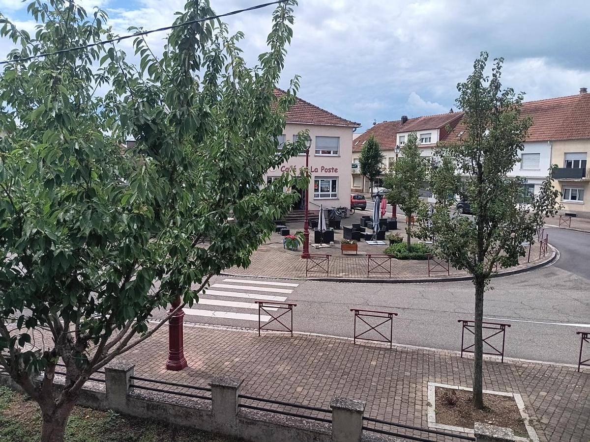 Maison d hote avec diner in Sarralbe, Sarreguemines
