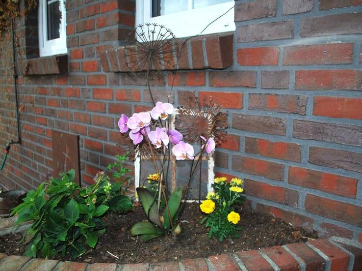 Ferienwohnung für 4 Personen, mit Garten in Friederikensiel - 4