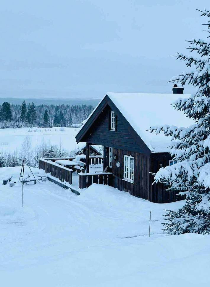 Familienhütte mit Ski in/out am Furutangen in Åmot