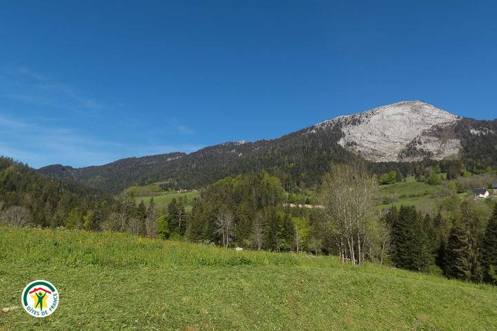 La Centaurée in Saint-Pierre-de-Chartreuse, Isère
