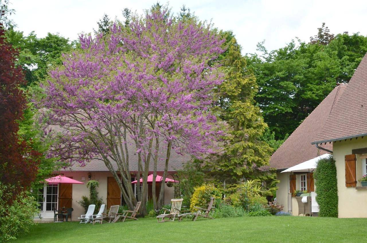 Superior Double or Twin Room with Garden View in Giverny, Région de Les Andelys