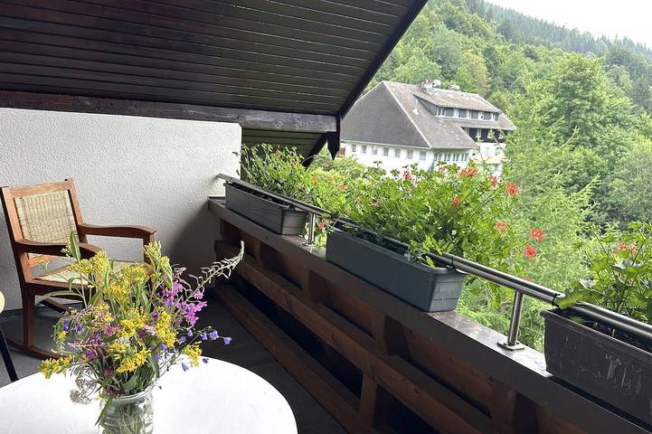 Ferienhaus Albmatte-großer Garten-perfekt für Paare, Gruppen und Familien in Menzenschwand Hinterdorf (St. Blasien), St. Blasien