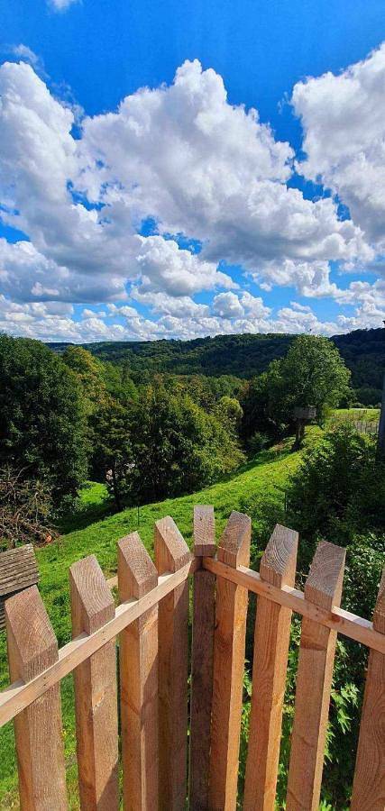 Gîte pour 4 personnes, avec vue et jardin, animaux acceptés à Houyet - 4