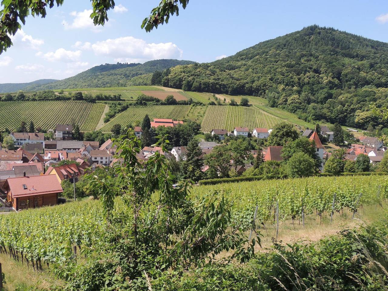 Ganze Ferienwohnung, Ferienwohnung "Dorfblick" - Ferienwohnung "Dorfblick" in Leinsweiler, Trifelsland