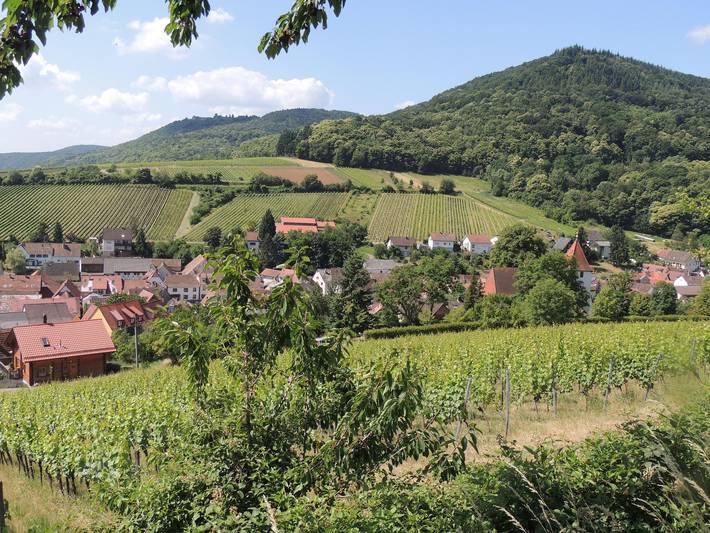 Ferienwohnung für 3 Personen, mit Sauna und Garten sowie Terrasse, kinderfreundlich in Deutsche Weinstraße - 3