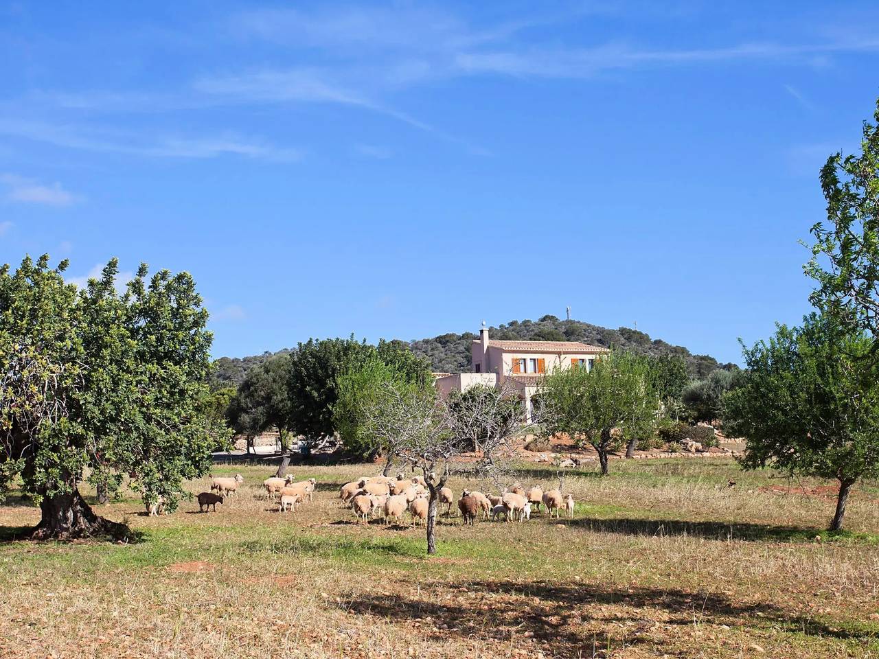Haus 8 Personen in Cala d'Or, Santanyí