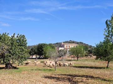 Villa in Calonge (Mallorca), Santanyí für 8 