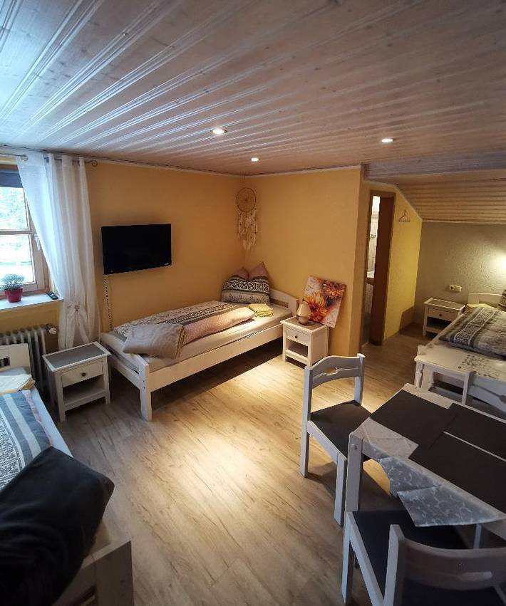 Hotel für 3 Personen, mit Pool und Garten in Bayerisch Eisenstein - 4