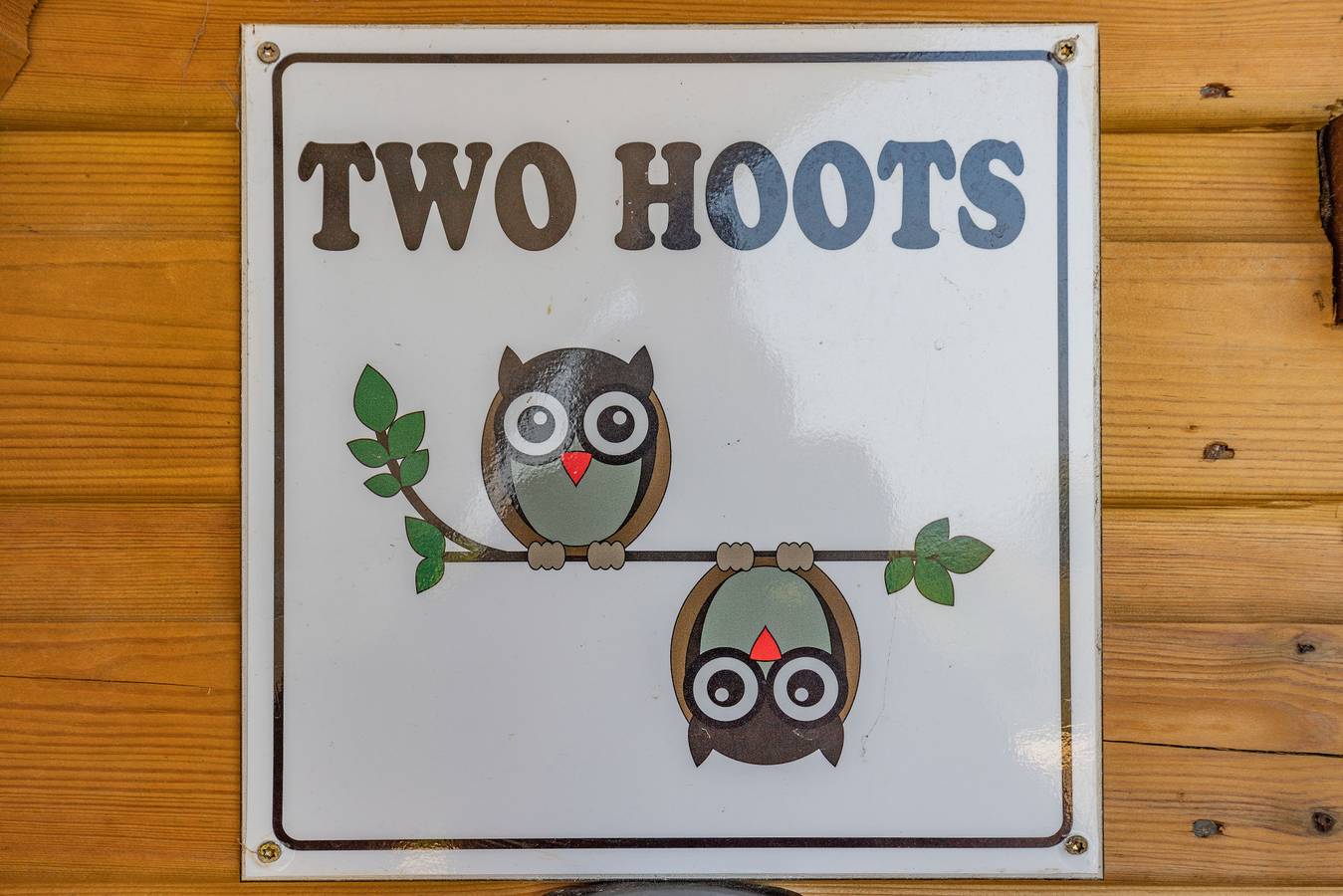 Two Hoots in Flintshire