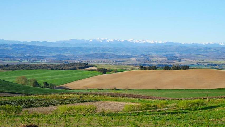 Location de vacances pour 16 personnes, avec jardin ainsi que vue et piscine à Villarzel-du-Razès - 2