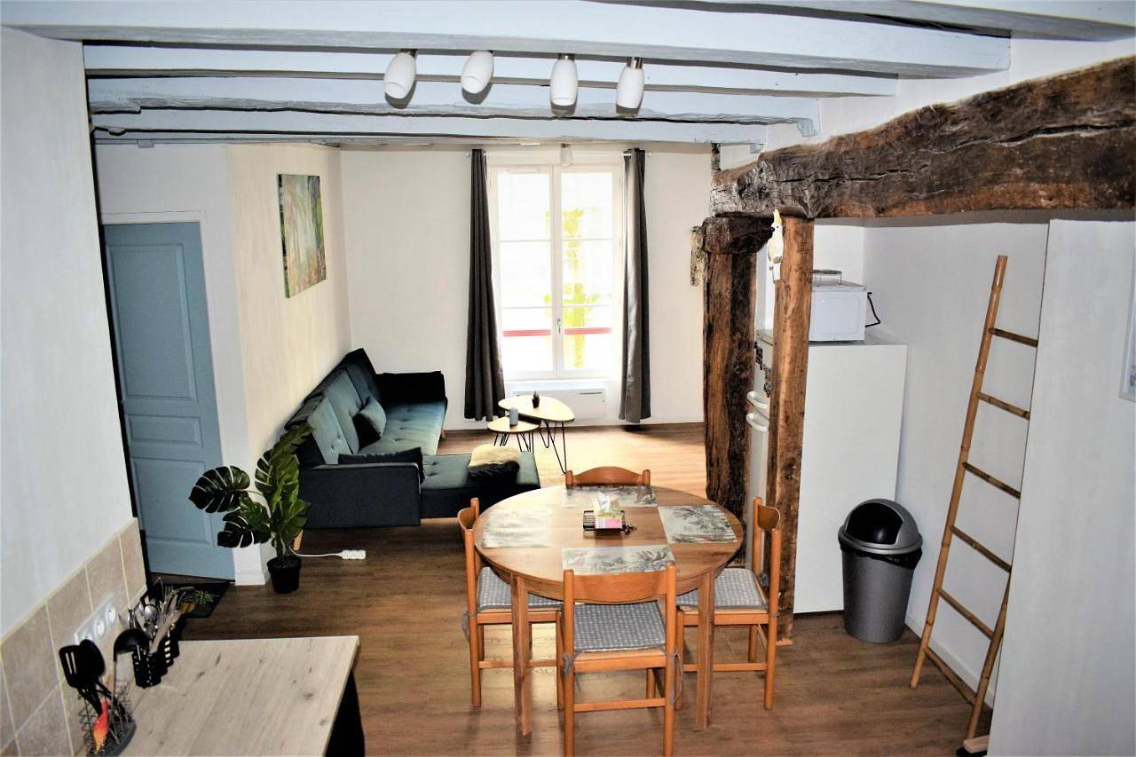 Appartement entier, Gite Le Nid des Zoo Zio, 5mn Beauval, appartement terrasse centre-ville in Saint-Aignan, Région de Romorantin-Lanthenay