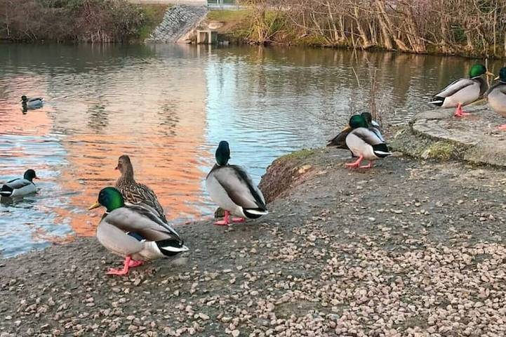 Ferienwohnung für 4 Personen, mit Terrasse