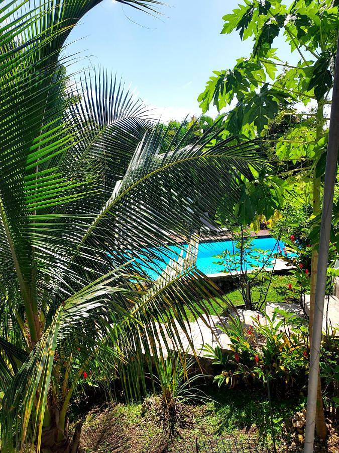 Gîte pour 2 personnes, avec jardin ainsi que piscine et vue à Les Abymes - 2