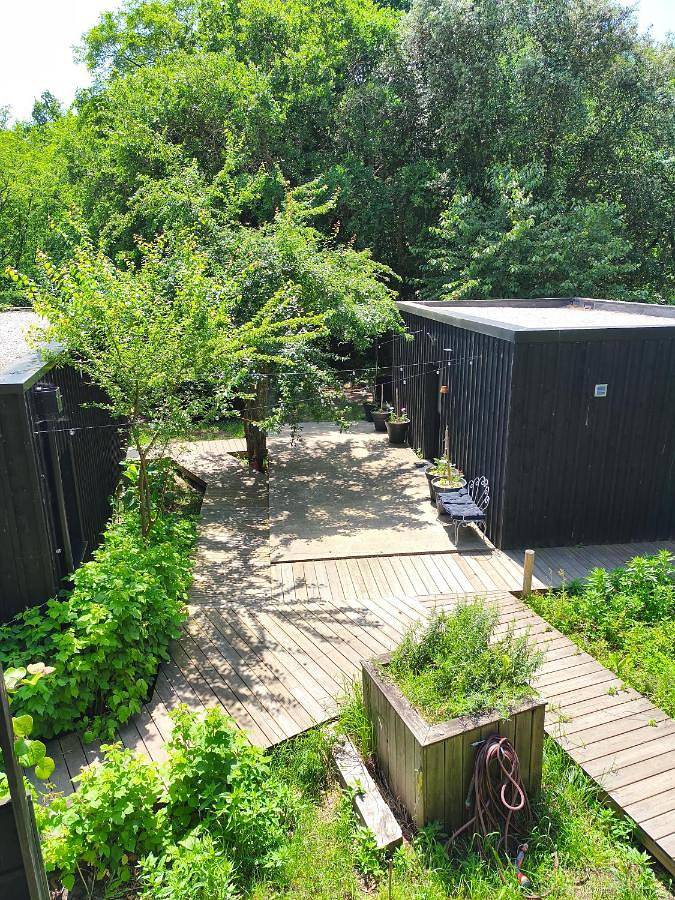 Gîte pour 4 personnes, avec vue et jardin, animaux acceptés dans Plage Moutchic - 2