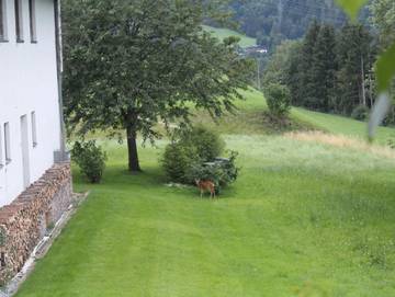 Ferienwohnung für 5 Personen in Kramsach, Kufstein Umgebung, Bild 4