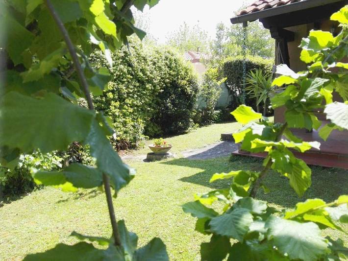 Villa pour 5 personnes, avec vue et jardin, animaux acceptés à Forte dei Marmi - 4