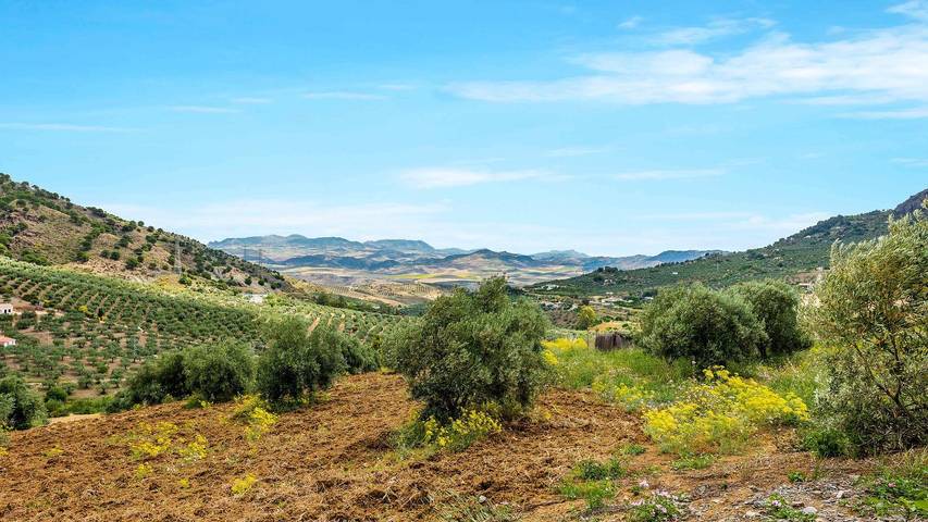 Casa rural para 4 personas, con balcón/terraza y piscina en Álora - 4