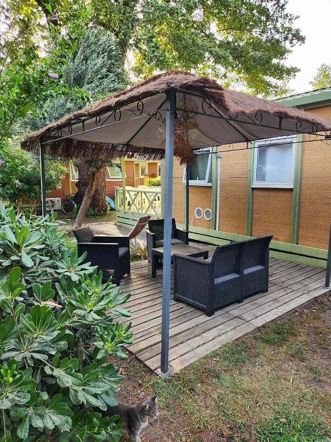 Gîte pour 5 personnes, avec Terrasse et Jardin à Sorbo-Ocagnano - 2
