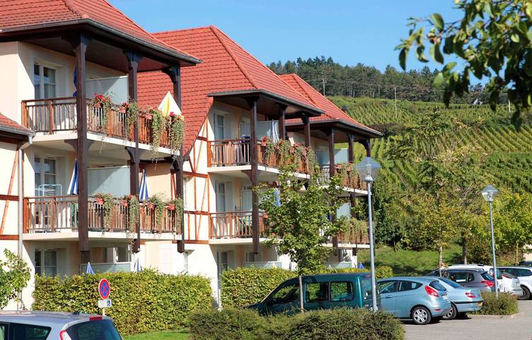 Gîte pour 3 personnes, avec terrasse ainsi que sauna et piscine, animaux acceptés à Bergheim - 2