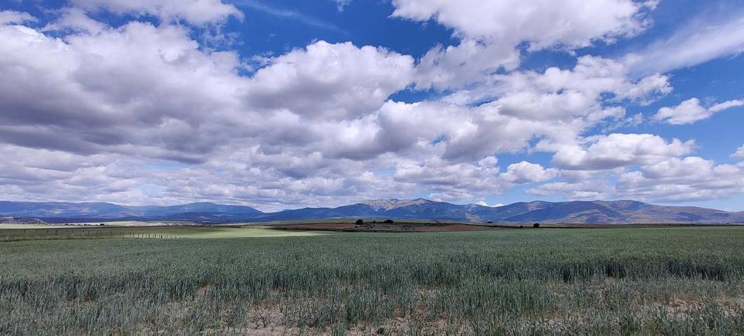 Maison de campagne pour 10 personnes, avec piscine et jardin à Ségovie - 2