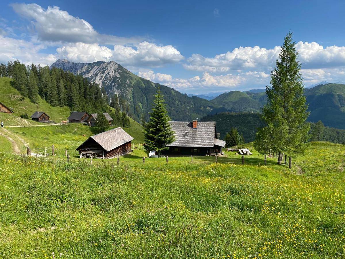 Jörgenbauerhütte in Spital am Pyhrn, Kirchdorf an der Krems (Bezirk)