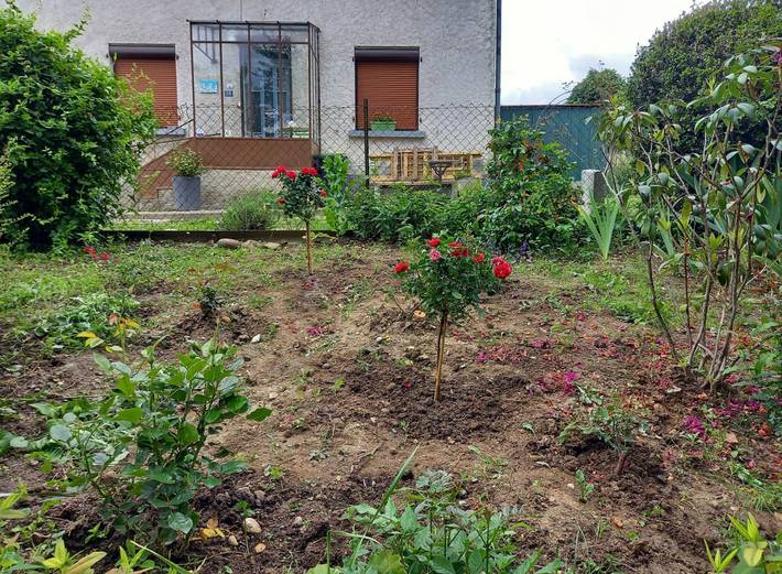 Gîte pour 6 personnes, avec terrasse - 1