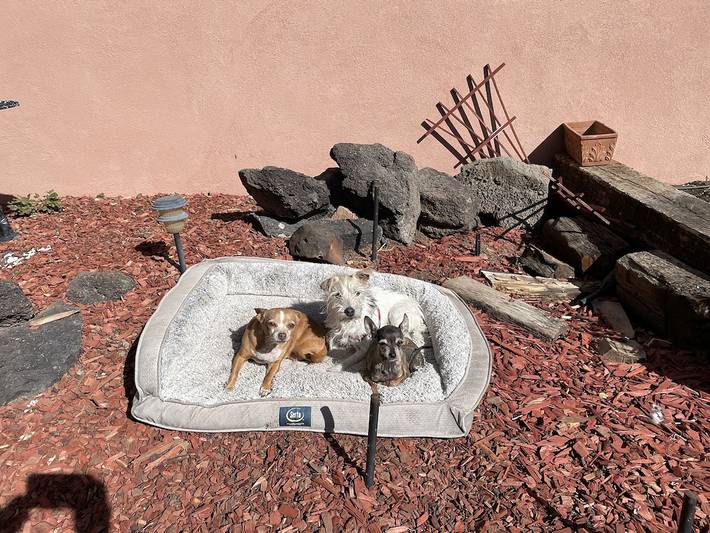 Vacation rental for 2 people, with terrace, with pets in Santa Fe