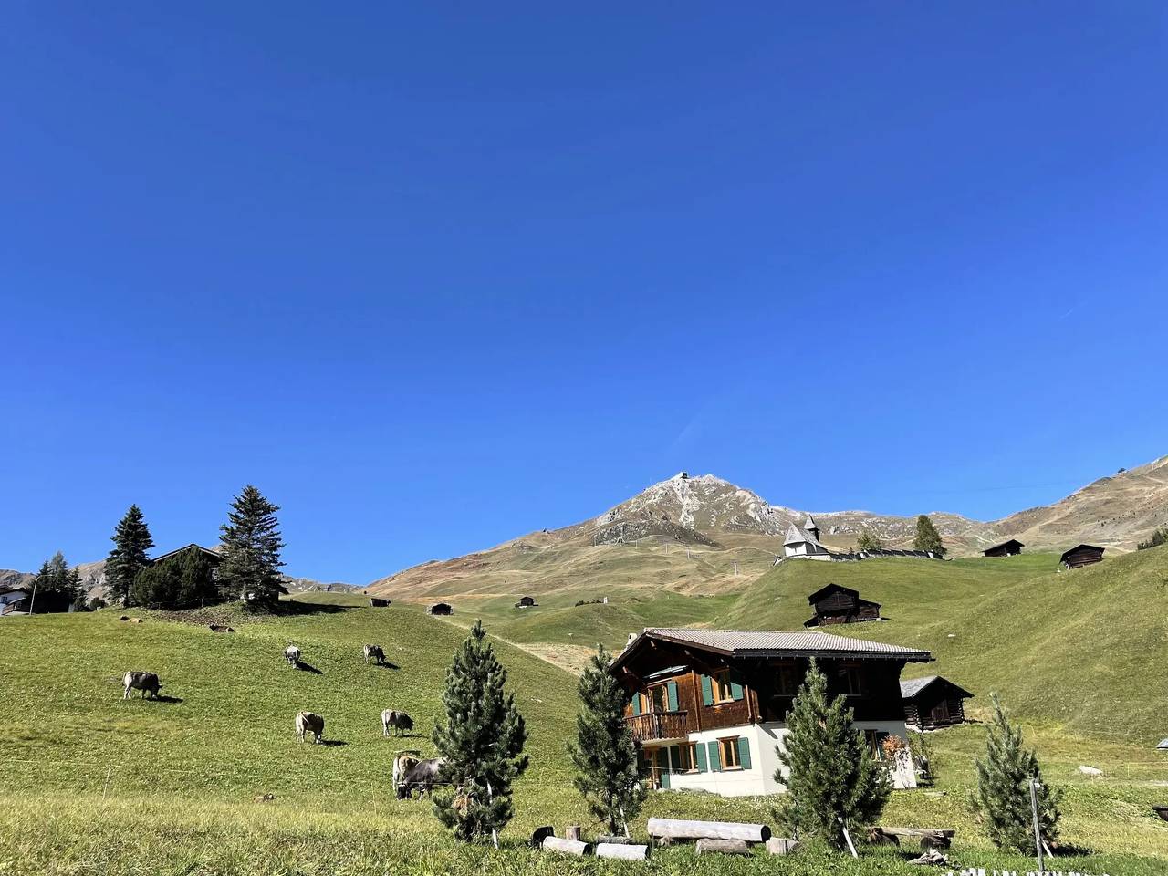 Ganze Wohnung, 5 Pièces 5 Personnes in Arosa, Plessur Alpen