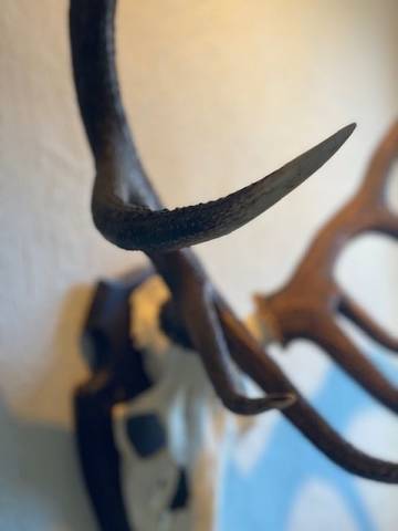 Zimmer für 2 Personen in Goslar, Westharz, Bild 4