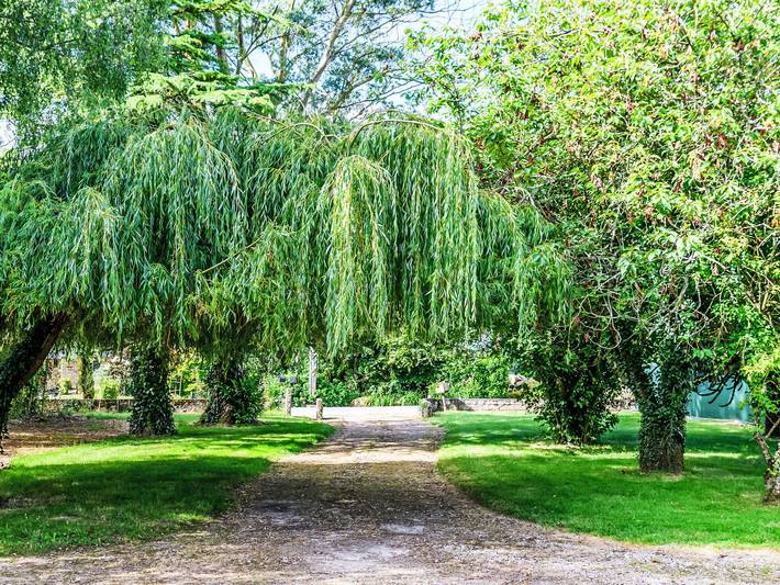 Location de vacances pour 8 personnes, avec jardin à Plumergat - 2