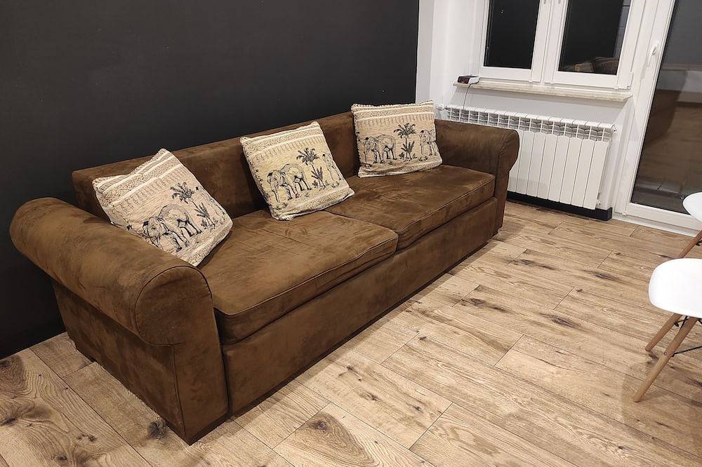 Ganze Wohnung, Apartament Blackandwhite in Sandomir, Heiligkreuz