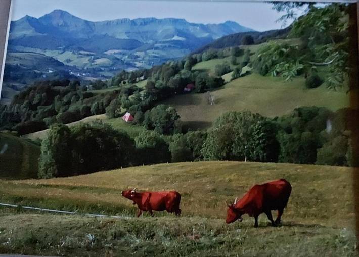 Location de vacances pour 6 personnes, avec jardin ainsi que vue et terrasse, animaux acceptés à Mandailles-Saint-Julien - 3