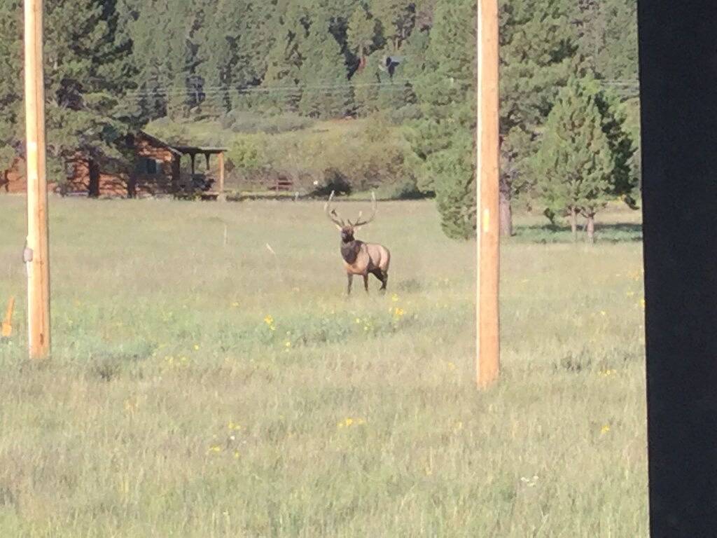 Semrows Cabin wird von Cabin Butler verwaltet in Greer, Apache County