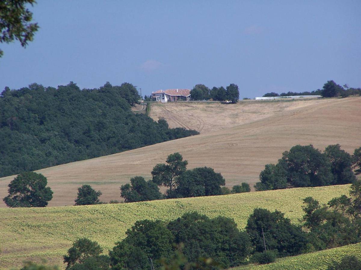 Villa Le Rabailly in Mérenvielle, Toulouse et ses environs
