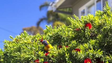 Holiday Home for 12 People in Mollymook, New South Wales, Photo 3