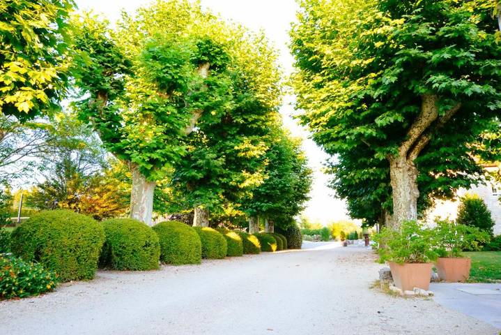 Location de vacances pour 10 personnes, avec jardin ainsi que piscine et vue à Les Avenières - 3