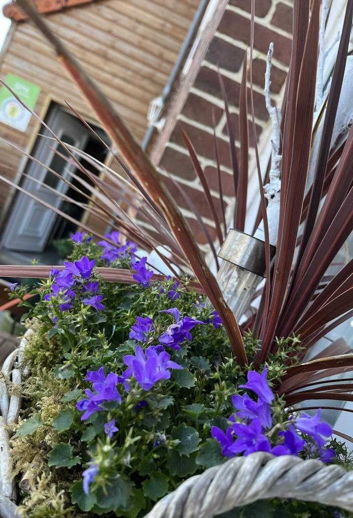 Gîte pour 2 personnes, avec Terrasse
