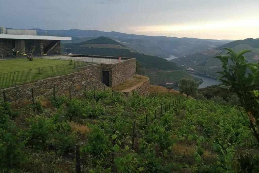 Five-Bedroom House in Vale de Mendiz, Casal de Loivos e Vilarinho de Cotas, Vale do Douro
