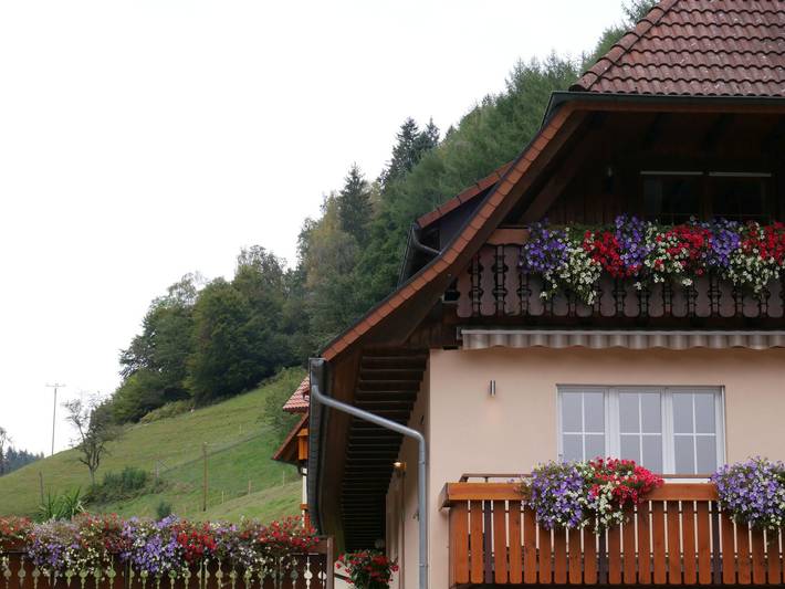 Ganze Wohnung, Apartment 'Eulennest' mit Gemeinschaftspool, privater Terrasse und Wlan in Wolfach, Wolftal Region