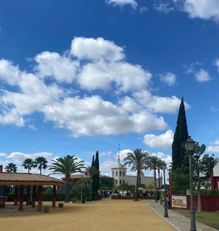 Casa rural para 14 personas, con terraza y piscina además de vistas y sauna, Se admiten mascotas en Cabra - 3