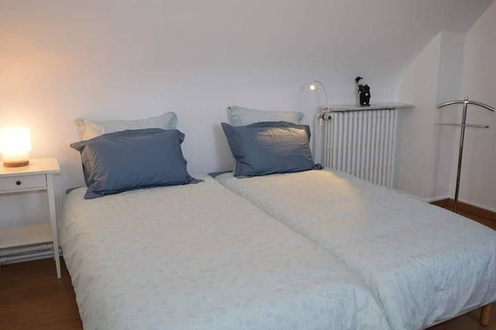 Gîte confortable, animaux acceptés, jardin clos in Saint-Avertin, Région de Tours