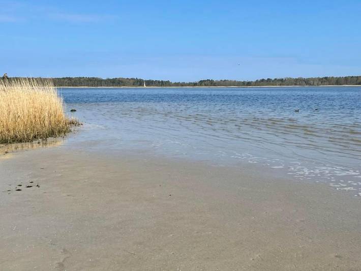 Ferienwohnung für 4 Personen, mit Garten, mit Haustier in Groß Mohrdorf - 3