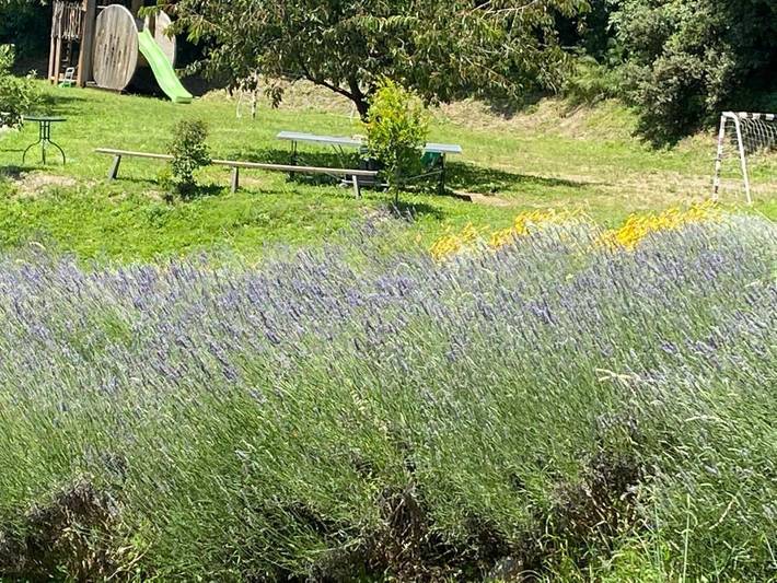 Casa rural para 10 personas, con piscina además de jardín y vistas en Cataluña - 3