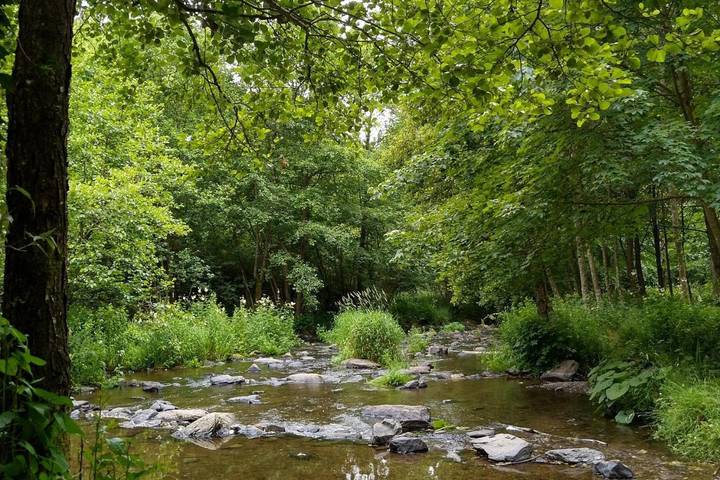 Chambre d’hôte pour 8 personnes, avec jardin à Gedinne - 4