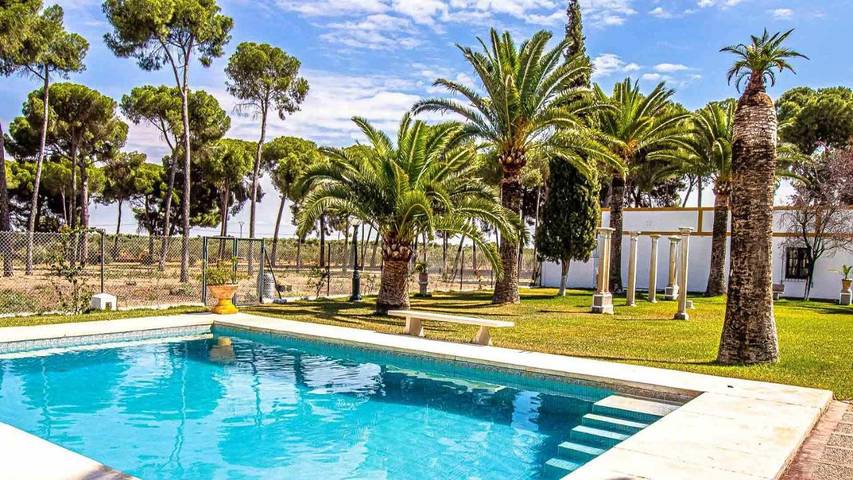 Casa rural para 14 personas, con terraza y piscina en Marchena - 3