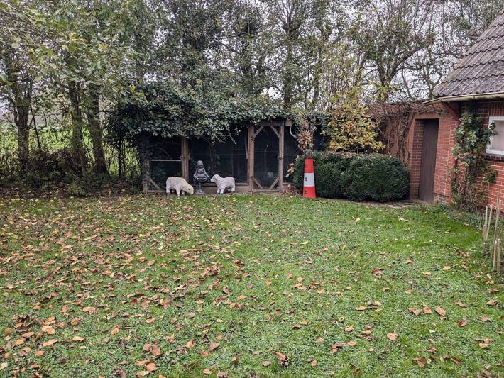 Ferienhaus für 7 Personen, mit Garten und Ausblick, mit Haustier in Wittmund - 4