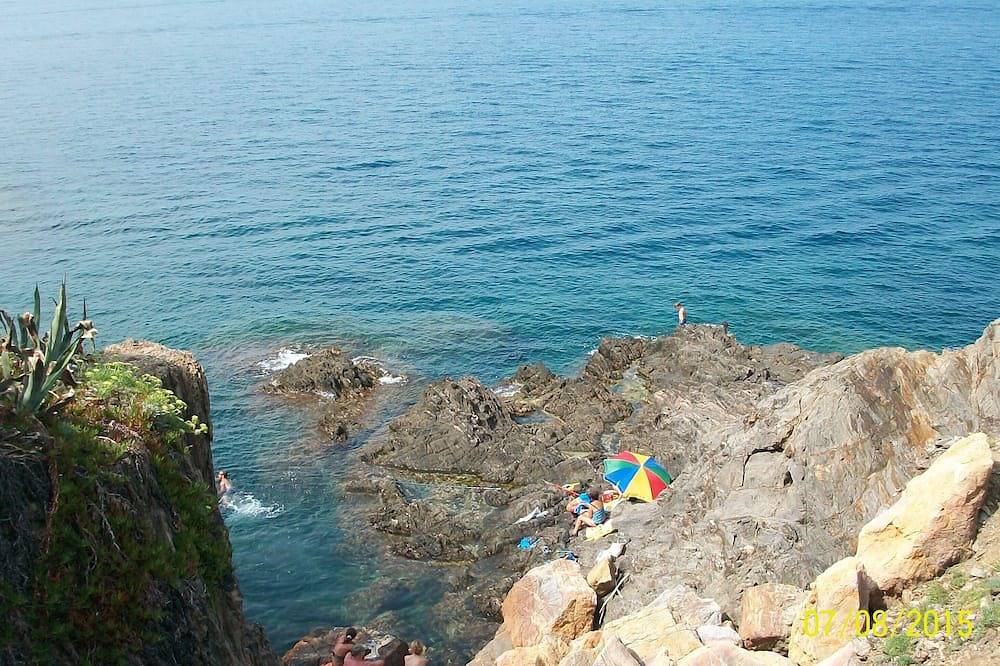 Ganze Wohnung, Collioure F2 (4 Pers) Grundriss. Waterfront Sonderangebot im Juni in La Côte Vermeille, Collioure