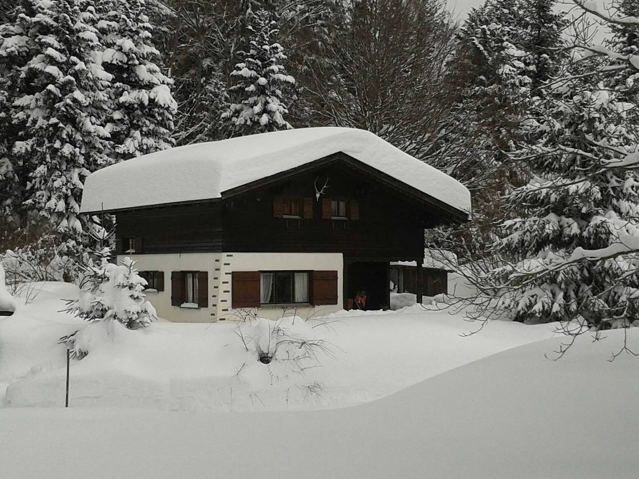 Ferienhaus Sinz - Ferienhaus Sinz in Schwarzenberg, Bodensee-Vorarlberg