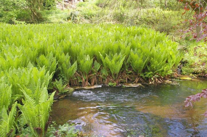 Ferienwohnung für 4 Personen, mit Seeblick und Ausblick sowie Garten in Kurpfalz - 4
